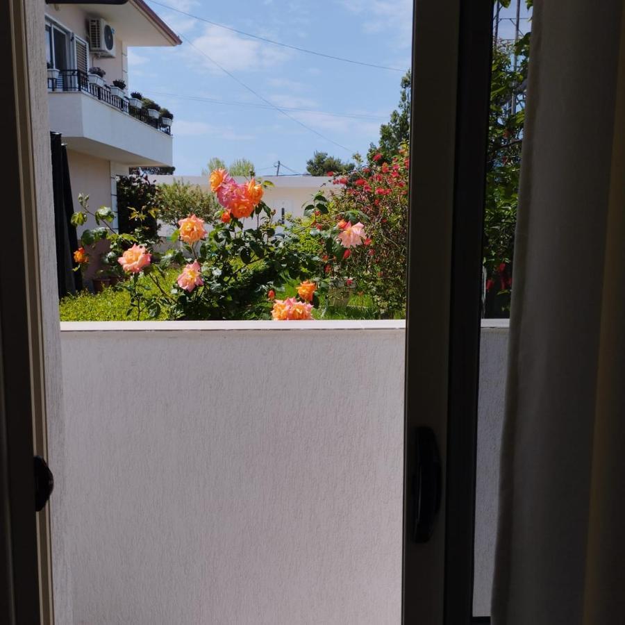 Belka Studios Vlore Bagian luar foto